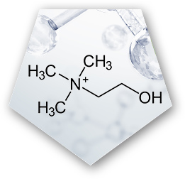 Detoxyn choline