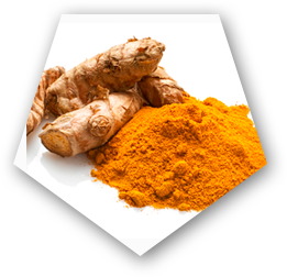 Detoxyn Curcuma longa